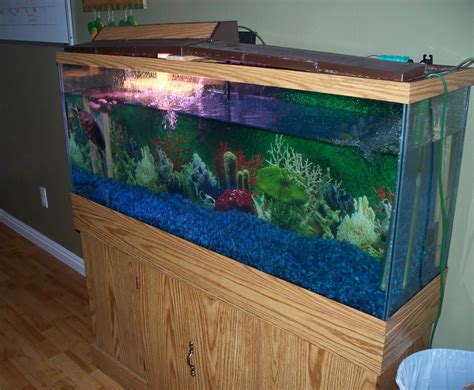 Aquariums, Fish Tanks & Bowls for Sale .